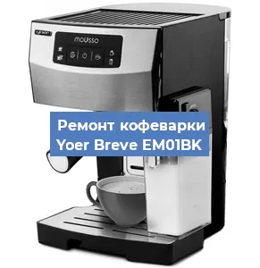 Замена дренажного клапана на кофемашине Yoer Breve EM01BK в Екатеринбурге